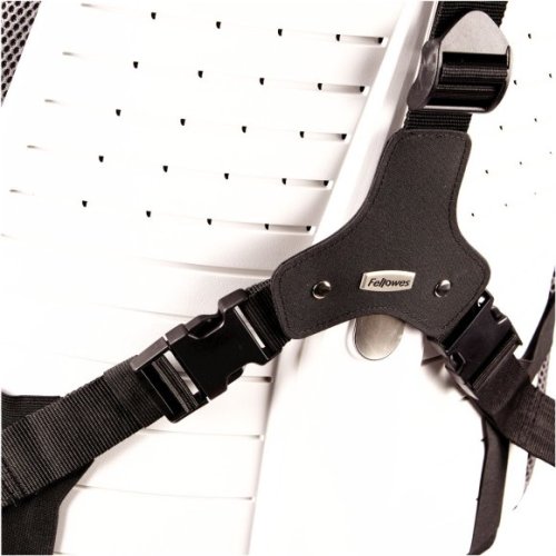 Profesionální opěrka zad Fellowes, černá