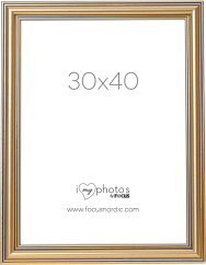 Focus Tango Classic Gold 30x40